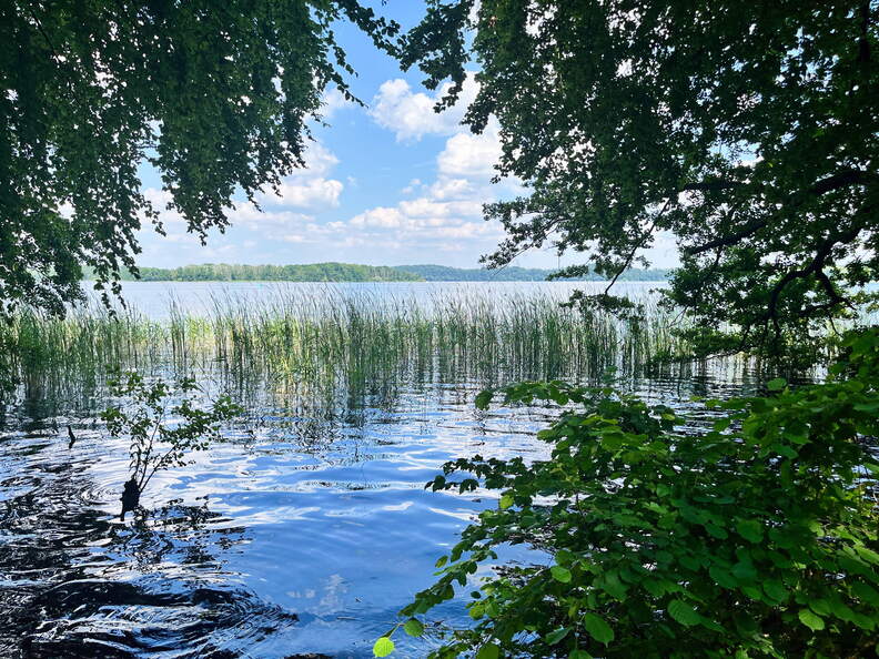 24-06-26 14-22-13 9939